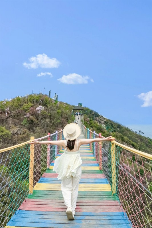 吊桥案例