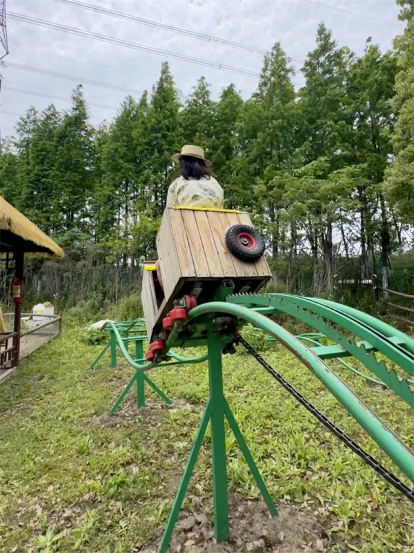坑爹过山车